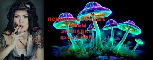 ешки Зеленодольск