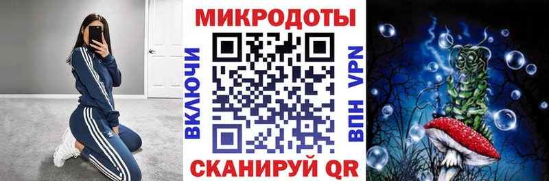 Галлюциногенные грибы Psilocybe  наркотики  Липки 